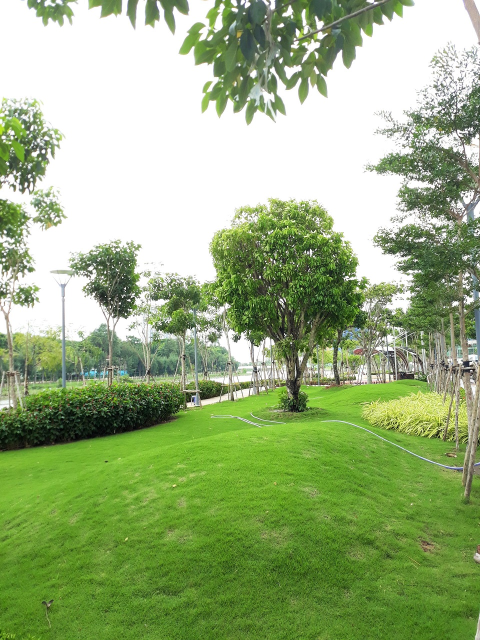 Bán căn hộ midtown sakura park phú mỹ hưng 3PN dt 130m2 view sông công viên giá 7.9 tỷ-0909 86 5538 2063138 2