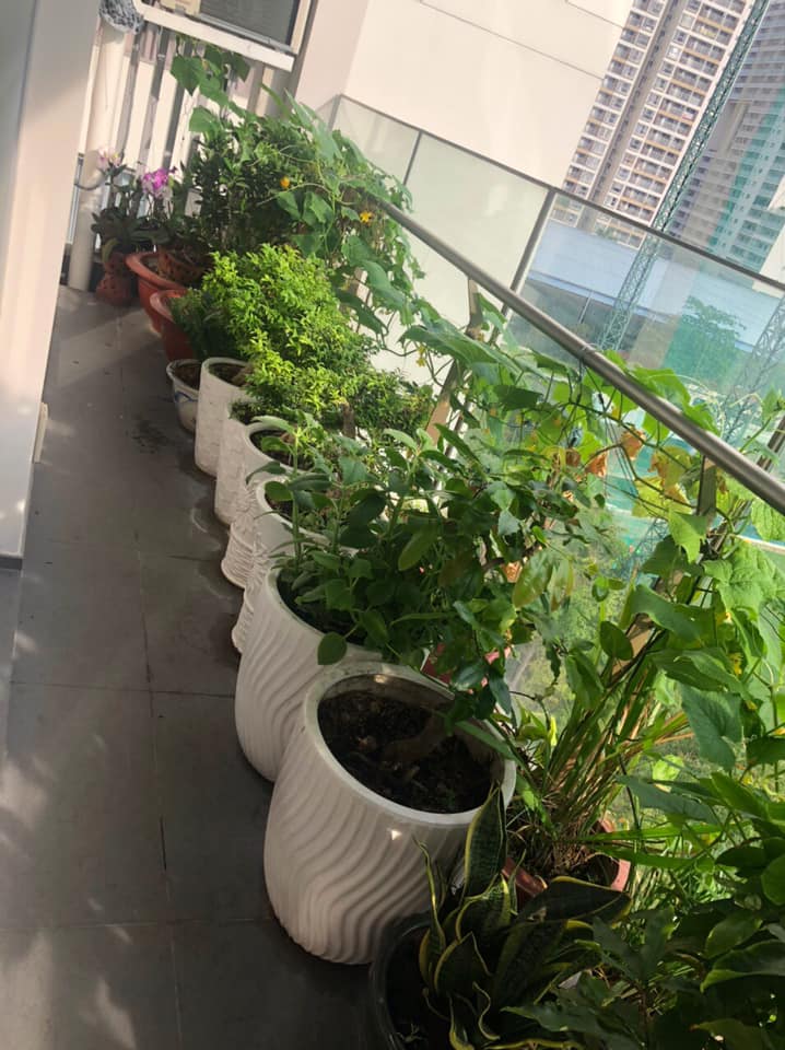 Kẹt tiền trả nợ bán gấp căn hộ cao cấp Green Valley, phú mỹ hưng, quận 7 2100885 1