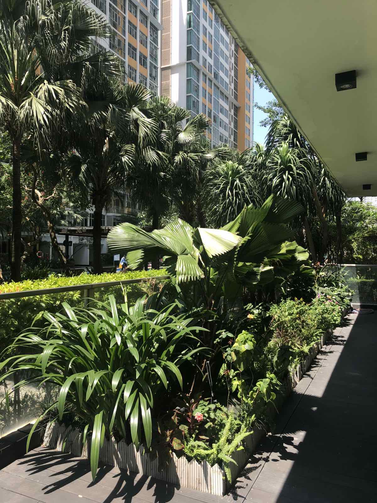Bán căn hộ Vista An Phú 4 phòng ngủ có sân vườn  2253313 2