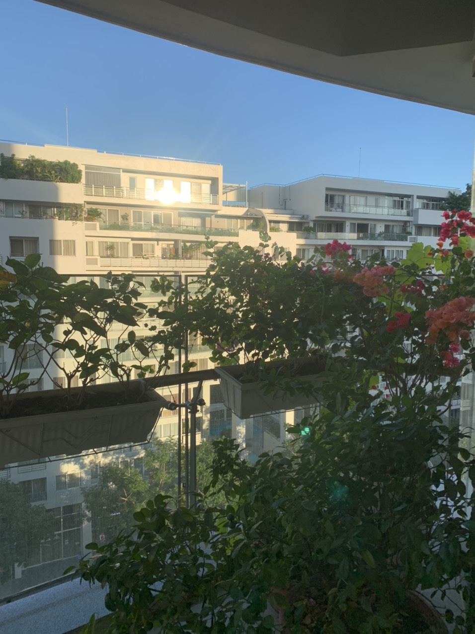 Cần cho thuê gấp CHCC Riverpark Premier, 130m, PMH, Q.7 2386481 2