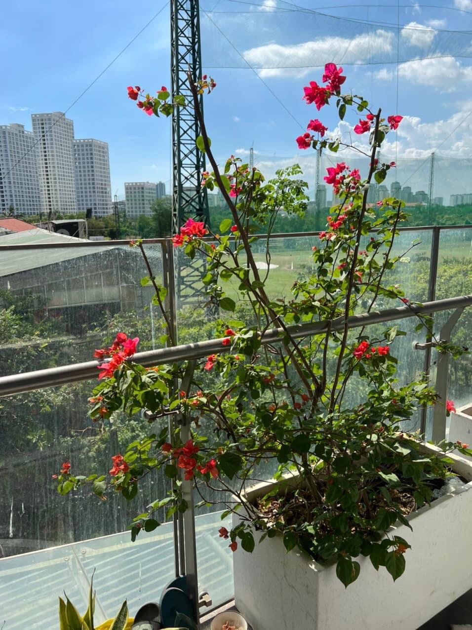 Bán căn hộ Green Valley, DT 120m2, 03PN, 02 WC, lầu thấp, giá bán 6 tỷ 2411194 2