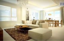 Bán gấp căn hộ cao cấp Panorama, Phú Mỹ Hưng, Quận 7, giá 7,3 tỷ